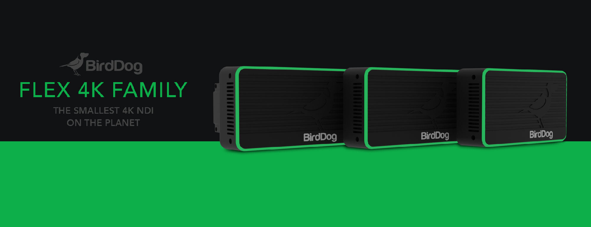 BirdDog Flex 4K Family