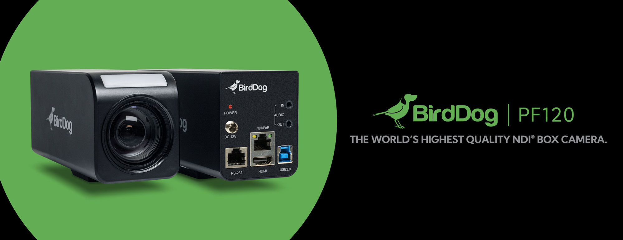 BirdDog NDI Box Camera