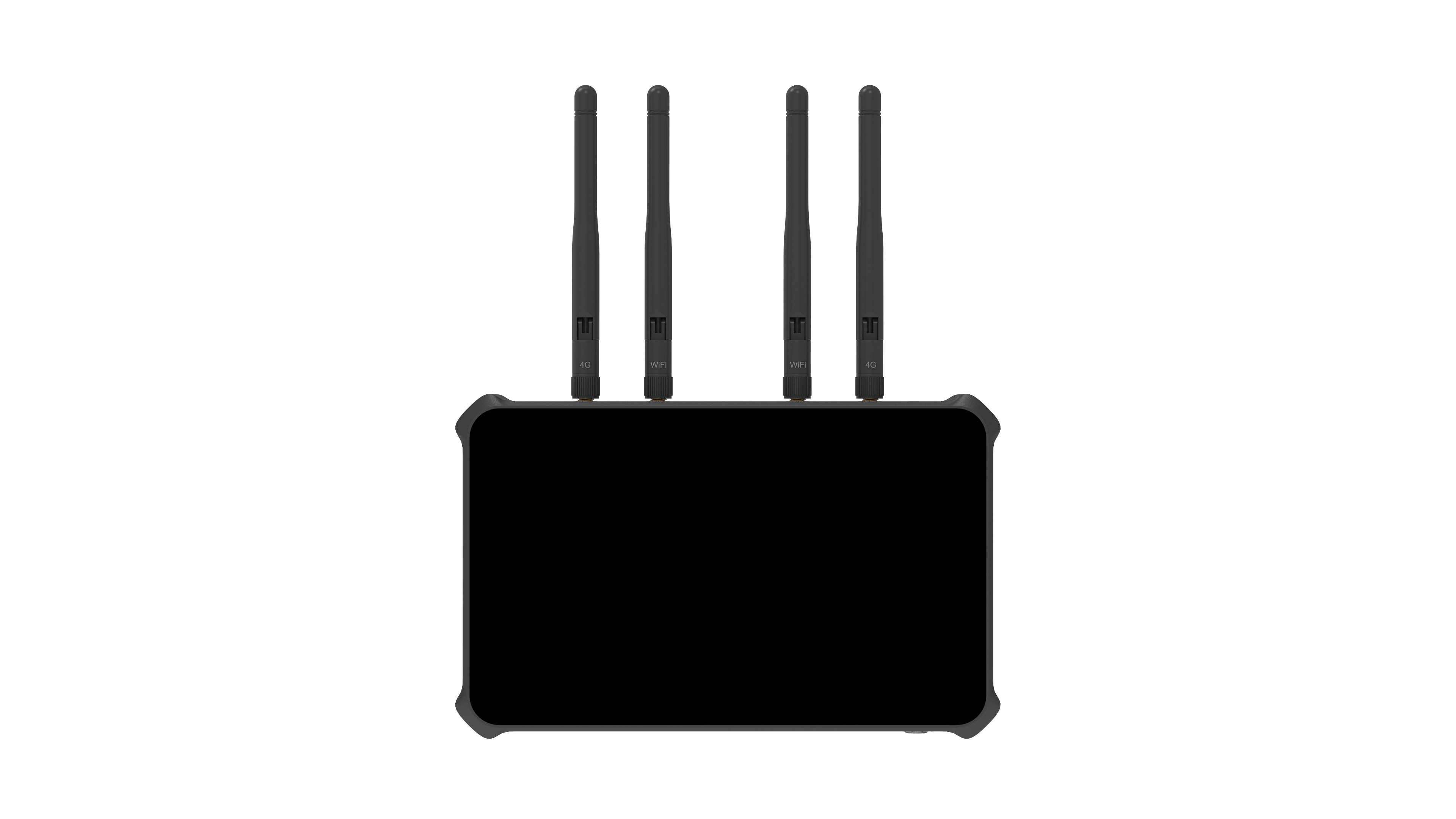 Magewell Director One