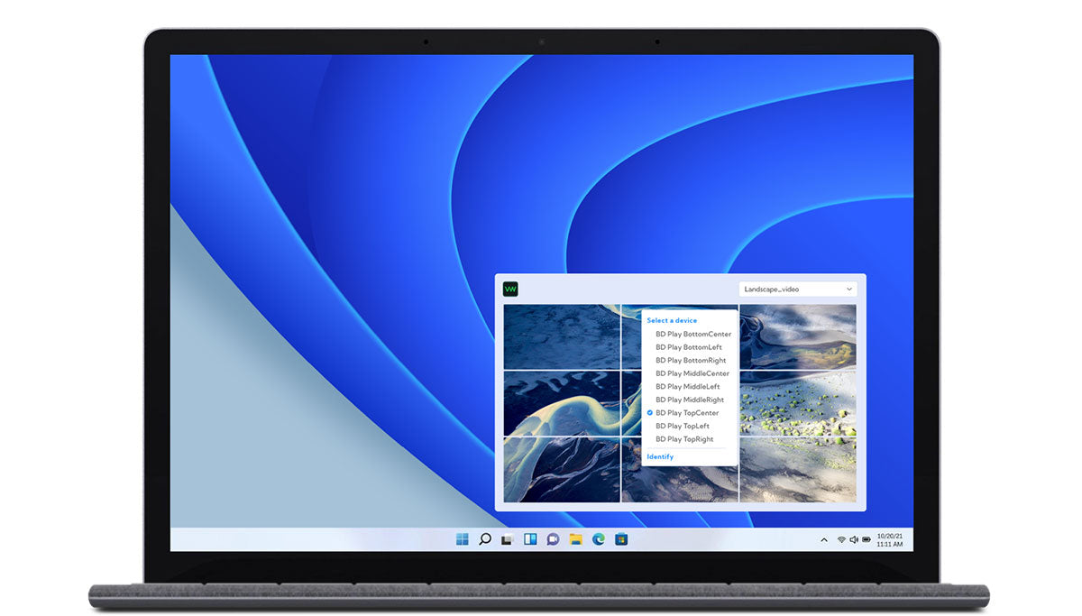 BirdDog VideoWall Software