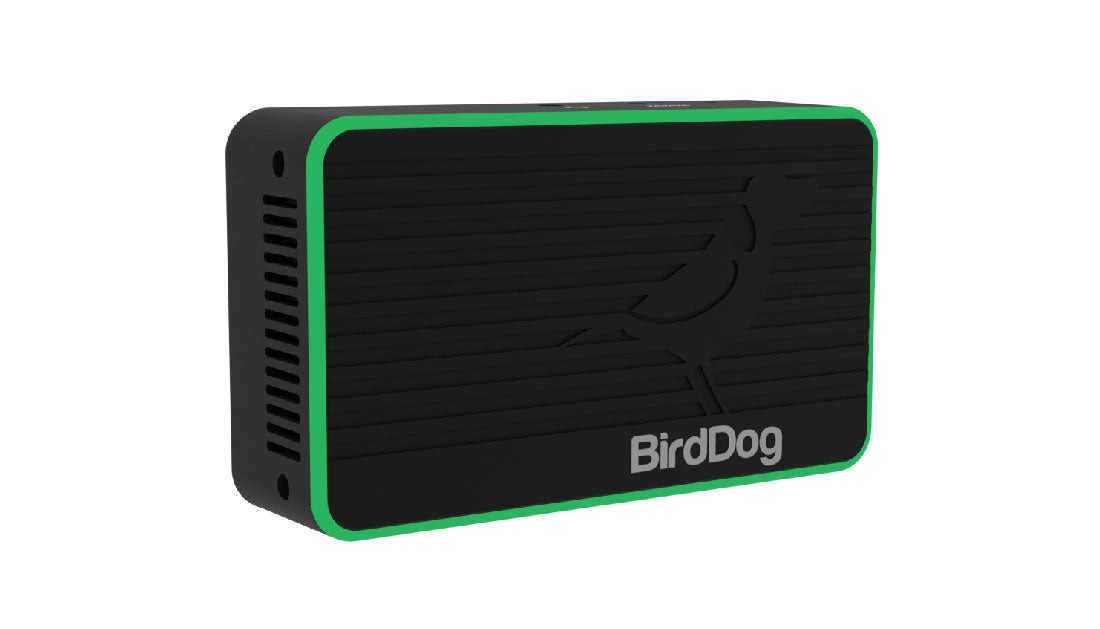 BirdDog Flex 4K IN top side green