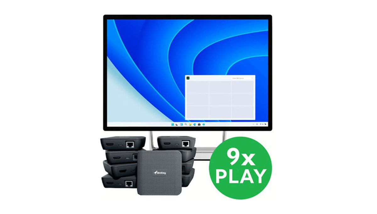 BirdDog VideoWall Bundle | 9 Pack