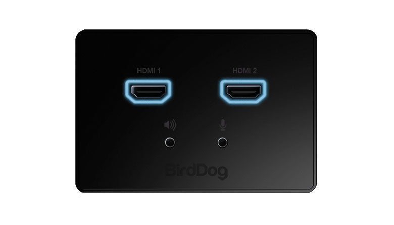 BirdDog NDI Wallplate Black