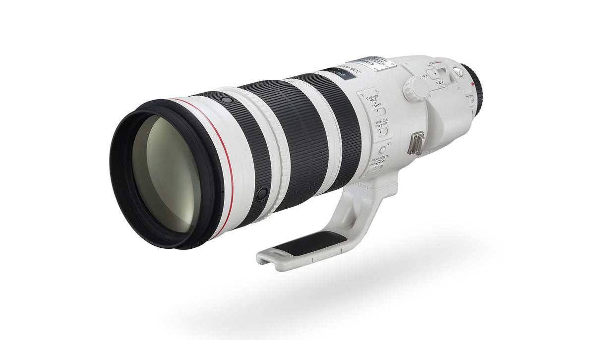 Canon EF 200-400mm f/4L IS USM Extender 1.4X