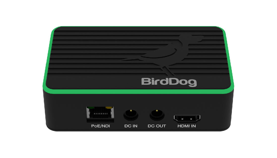BirdDog Flex 4K IN front top green