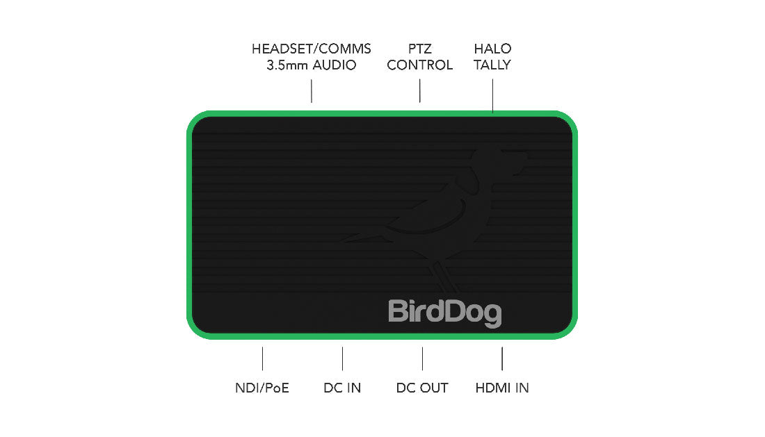 BirdDog Flex 4K IN top green connections