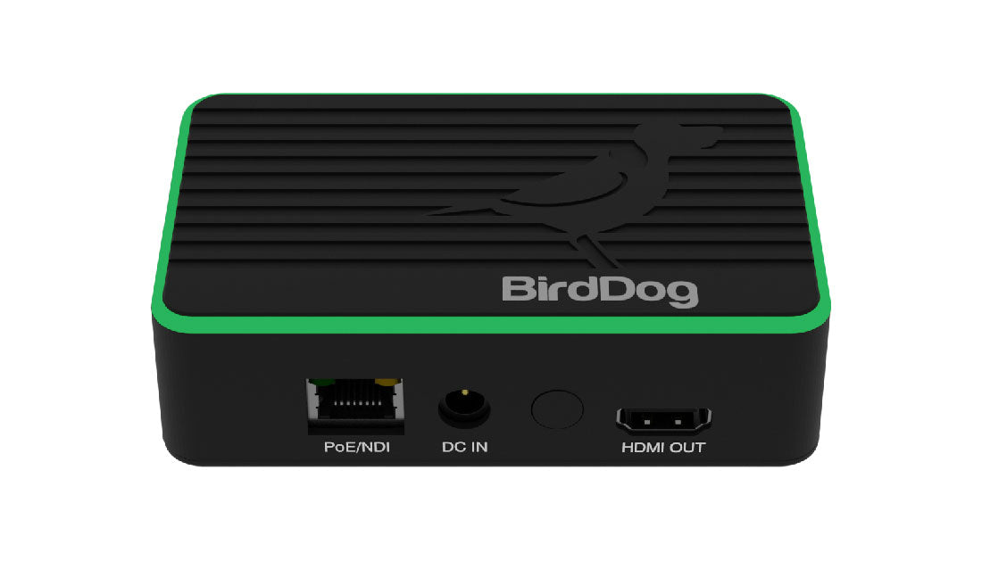 BirdDog Flex 4K OUT front top green light