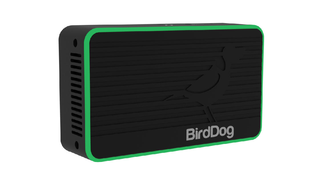 BirdDog Flex 4K OUT top side green light