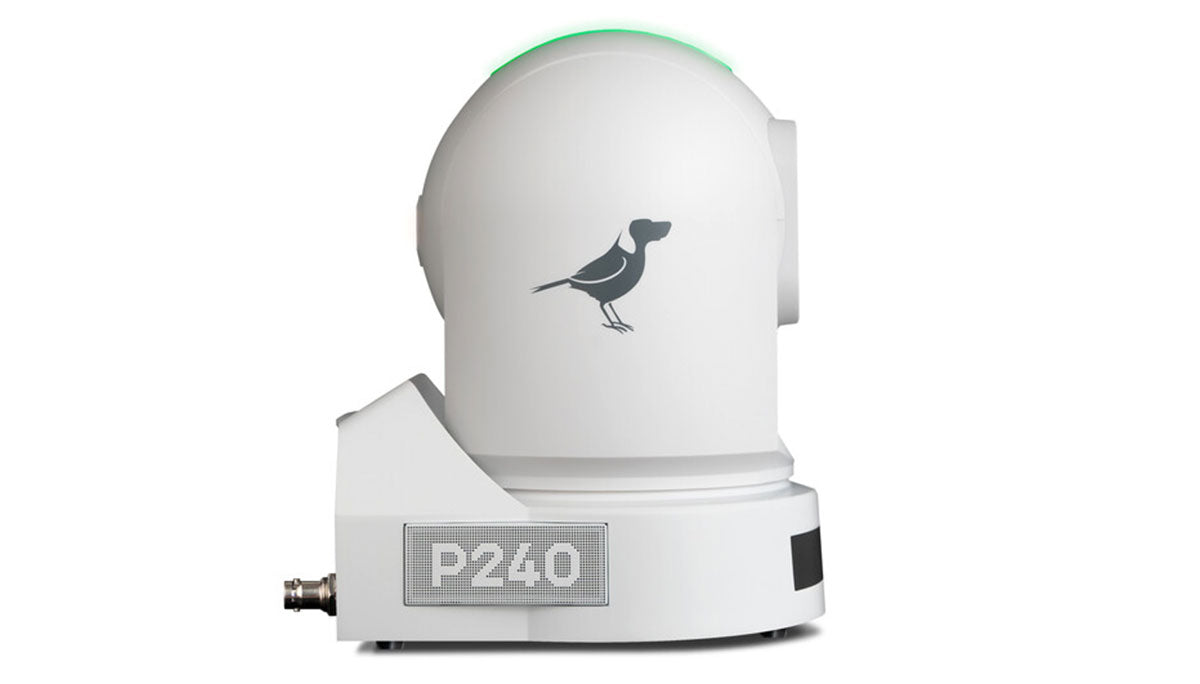 BirdDog P240 PTZ Camera